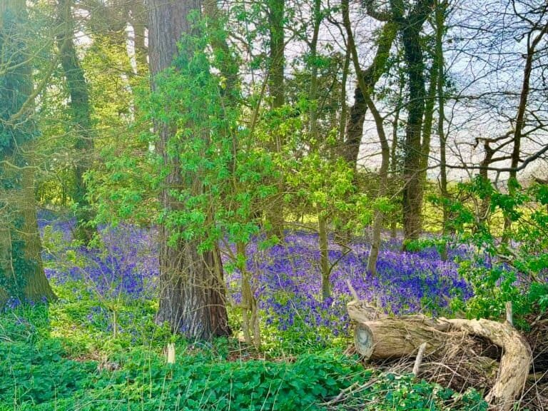 sleep apnea mask problems