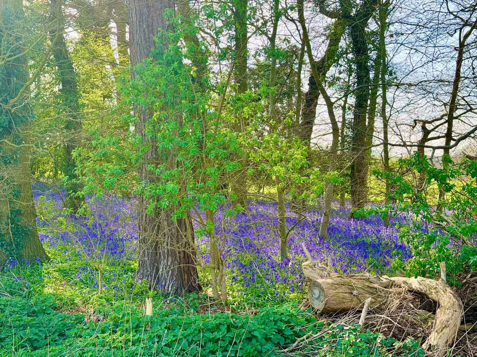 sleep apnea mask problems