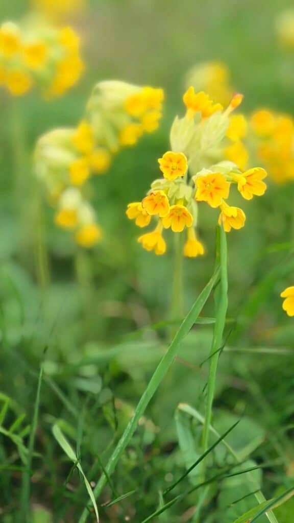 cbc3e2b5 3f9f 4698 ae39 aa220697ebf9