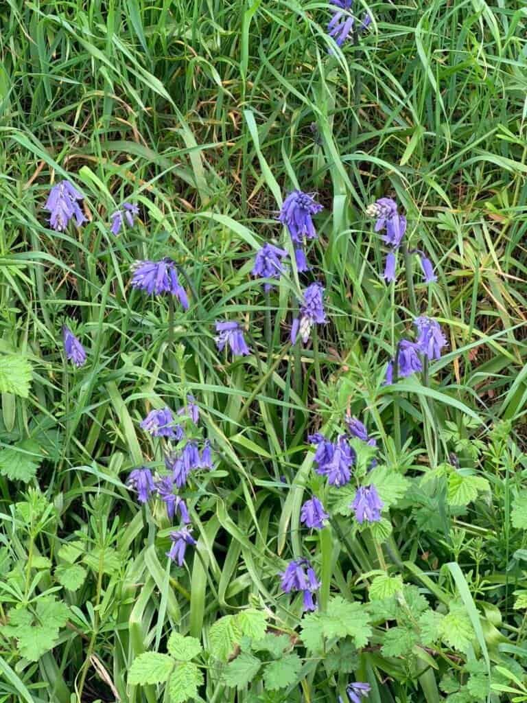 cc61b4bf f1e8 4028 a015 d0adbfa019a5